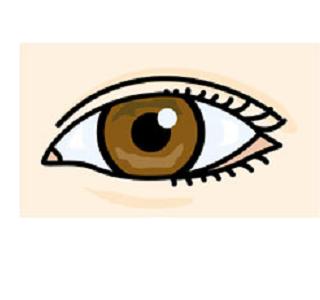 まつ毛エクステンションの用語について詳しく丁寧に解説するサイト『まつ毛エクステ用語集』